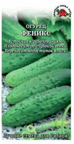 Огурец Феникс ЦВ/П (Сотка) 0,5гр позднеспелый