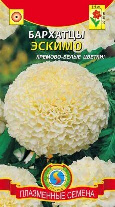 Цветы Бархатцы Эскимо ЦВ/П (ПЛАЗМА) прямостоячие 30-35см