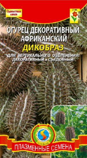 Цветы Огурец декоративный Африканский Дикобраз ЦВ/П (ПЛАЗМА) 8шт однолетник лиана до 2м