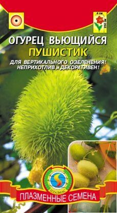 Цветы Огурец декоративный Пушистик ЦВ/П (ПЛАЗМА) 8шт однолетник лиана 2,5м