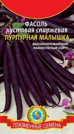 Фасоль Пурпурная малышка ЦВ/П (ПЛАЗМА) раннеспелый спаржевый кустовой 30-45