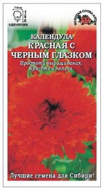 Цветы Календула Красная с черным глазком ЦВ/П (Сотка) однолетнее 50-60см