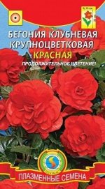 Цветы Бегония Крупноцветковая Красная ЦВ/П (ПЛАЗМА) однолетник 30-35см