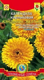 Цветы Календула Кэндимэн Жёлтый ЦВ/П (Плазма) 0,2гр однолетник 30см