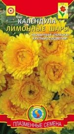 Цветы Календула Лимонные шары ЦВ/П (Плазма) однолетник 60см