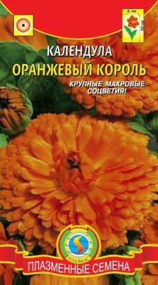 Цветы Календула Оранжевый король ЦВ/П (Плазма) однолетнее 40-50см