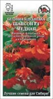 Цветы Бегония Шансон Медная F1 ЦВ/П (Сотка) комнатное 45см