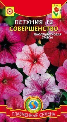 Цветы Петуния F2 Совершенство ЦВ/П (ПЛАЗМА) многоцветковая 25см