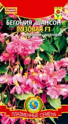 Цветы Бегония Шансон Розовая F1 ЦВ/П (ПЛАЗМА) комнатное 45см