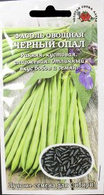 Фасоль Чёрный опал ЦВ/П (Сотка) раннеспелый спаржевый зелёный кустовой 45-50см