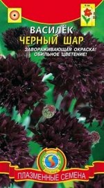 Цветы Василёк Чёрный шар ЦВ/П (ПЛАЗМА) однолетник до 80см