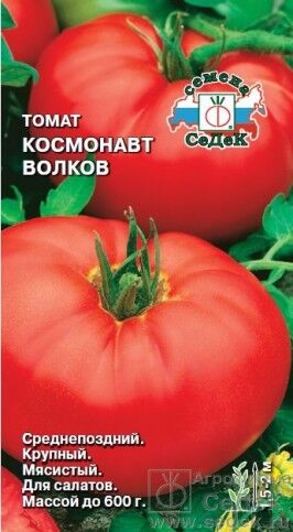 Томат Космонавт Волков ЦВ/П (СЕДЕК) среднепоздний до 2м