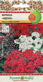 Цветы Вербена Идеал Смесь ЦВ/П (НК) однолетник 25см