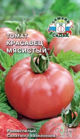 Томат Красавец Мясистый ЦВ/П (СЕДЕК) раннеспелый до 2м