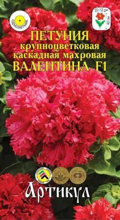 Цветы Петуния Валентина ЦВ/П (АРТИКУЛ) крупноцветковая каскадная махровая 40см