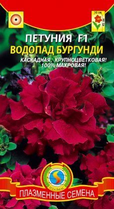 Цветы Петуния Водопад Бургунди F1 ЦВ/П (ПЛАЗМА) каскадная многоцветковая махровая до 45см