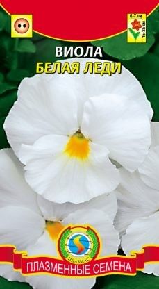 Цветы Виола Белая Леди ЦВ/П (ПЛАЗМА) двулетнее 15-25см