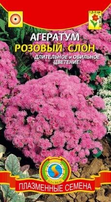 Цветы Агератум Розовый слон ЦВ/П (ПЛАЗМА) однолетнее до 30см