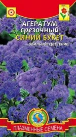 Цветы Агератум Синий букет Срезочный ЦВ/П (ПЛАЗМА) однолетник до 60см