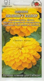 Цветы Цинния Лилипут Еллоу ЦВ/П (СОТКА) 0,2гр однолетник 25-35см