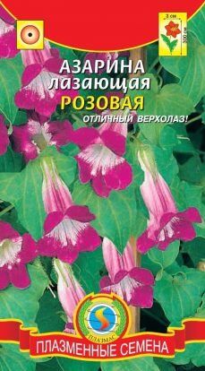 Цветы Азарина Розовая лазающая ЦВ/П (ПЛАЗМА) однолетнее 2-3м