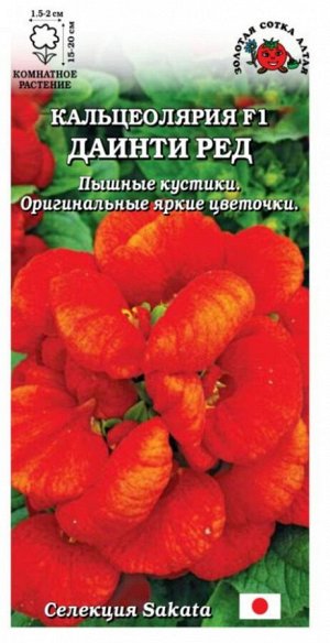 Цветы Кальцеолярия Даинти Ред ЦВ/П (Сотка) 5шт комнатное 15см