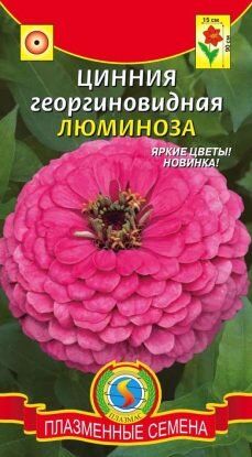 Цветы Циния Люминоза ЦВ/П (ПЛАЗМА) Георгиновидная ярко-розовая