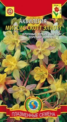 Цветы Аквилегия Миссис Скотт Эллиот смесь ЦВ/П (ПЛАЗМА) многолетнее 60-80см