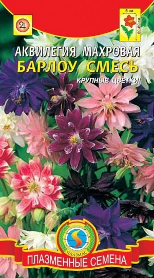Цветы Аквилегия СМЕСЬ Барлоу махровая ЦВ/П (ПЛАЗМА) многолетнее 60-80см