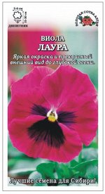 Цветы Виола Лаура ЦВ/П (Сотка) малиново-красная двулетник 15-20см