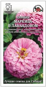 Цветы Цинния Маркиза в Лавандовом ЦВ/П (Сотка) 0,3гр однолетник 70-90см