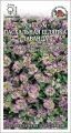 Цветы Алиссум Пасхальная шляпка Лаванда ЦВ/П (Сотка) однолетнее 25см
