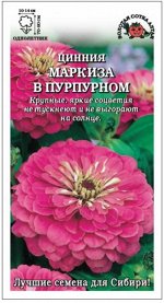 Цветы Цинния Маркиза в Пурпурном ЦВ/П (Сотка) 0,3гр однолетник 70-90см