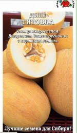 Дыня Титовка ЦВ/П (Сотка) раннеспелый