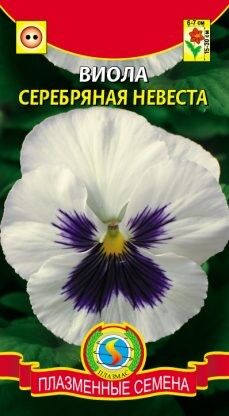 Цветы Виола Серебряная невеста ЦВ/П (ПЛАЗМА) двулетнее 15-30см
