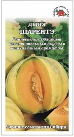 Дыня Шарентэ ЦВ/П (Сотка) 0,5гр раннеспелый
