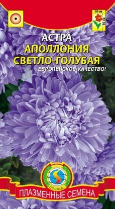 Цветы Астра Апполония Светло-голубая ЦВ/П (ПЛАЗМА) хризантемовидная до 65см