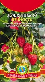 Земляника Вечность альпийская S1 ЦВ/П (ПЛАЗМА) 10шт