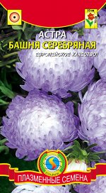 Цветы Астра Башня Серебрянная ЦВ/П (ПЛАЗМА) пионовидная до 70см