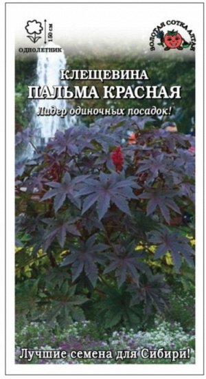 Цветы Клещевина Пальма Красная Гибсона ЦВ/П (Сотка) однолетнее 1,5м