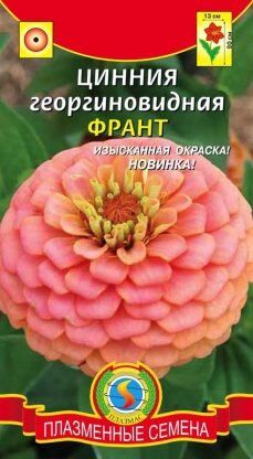 Цветы Циния Франт ЦВ/П (ПЛАЗМА) Георгиновидная светло-розовая