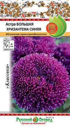 Цветы Астра Большая Хризантема Синяя ЦВ/П (НК) до 80см