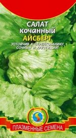 Салат Айсберг ЦВ/П (ПЛАЗМА) 0,9гр раннеспелый кочанный