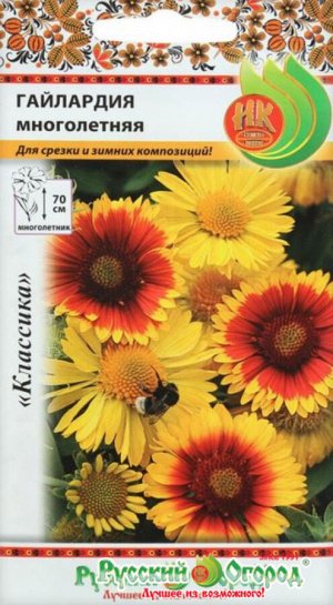 Цветы Гайлардия Многолетняя Смесь ЦВ/П (НК) 70см