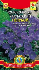 Цветы Колокольчик Голубой карпатский ЦВ/П (ПЛАЗМА) многолетник 25см