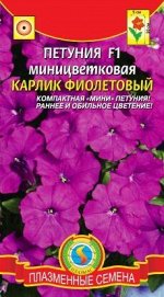 Цветы Петуния миницветковая Карлик Фиолетовый ЦВ/П (ПЛАЗМА) однолетник до 20см