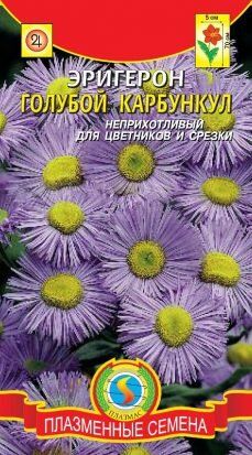 Цветы Эригерон Голубой карбункулЦВ/П (ПЛАЗМА) 0,05гр многолетник 60-70см