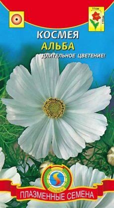Цветы Космея Альба ЦВ/П (ПЛАЗМА) белая однолетнее до 1,1м