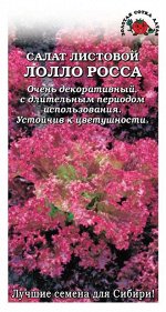Салат Лолло Росса ЦВ/П (Сотка) раннеспелый листовой красный