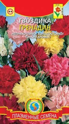 Цветы Гвоздика Гренадин смесь ЦВ/П (ПЛАЗМА) двулетнее 40-60см